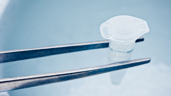 A test tube and liquid nitrogen for IVF